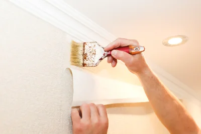 Pose de papier peint à la Roche-sur-Grane — revêtements muraux et toiles de verre